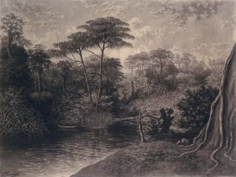 Ansicht des Kamerun-Flusses, Ambes Bay, Afrika, 1877